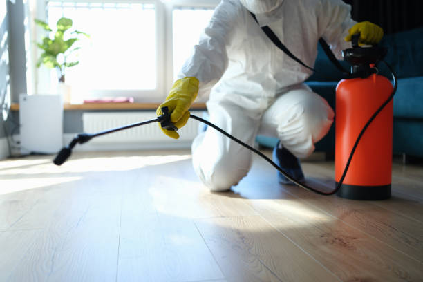 Trusted Sewage Cleanup service in Effingham, IL - Four Month Blood Cleanse